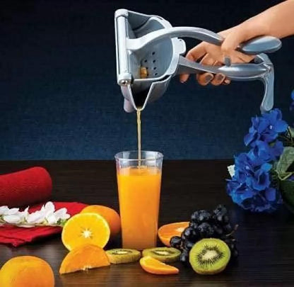 Stainless Steel Fruit Squeezer/Juicer